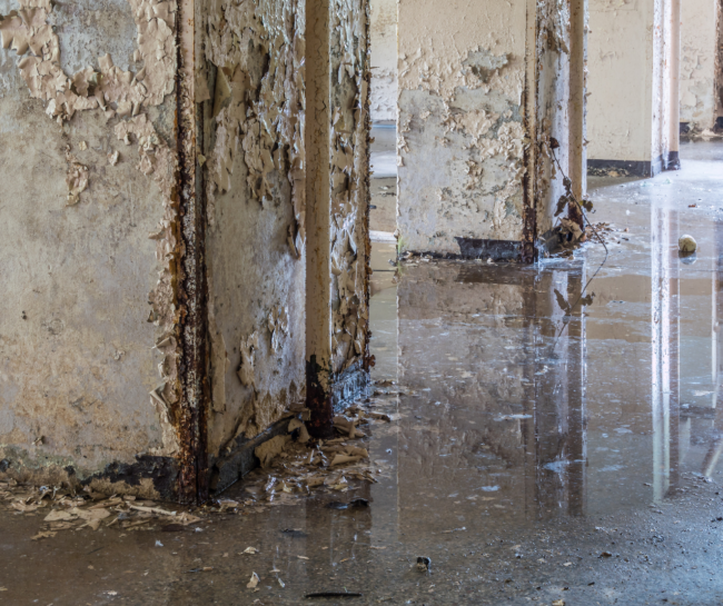 flood damage Flood Restoration Companies Loveland CO