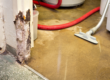 Flood Damage Restoration Companies Near Loveland CO